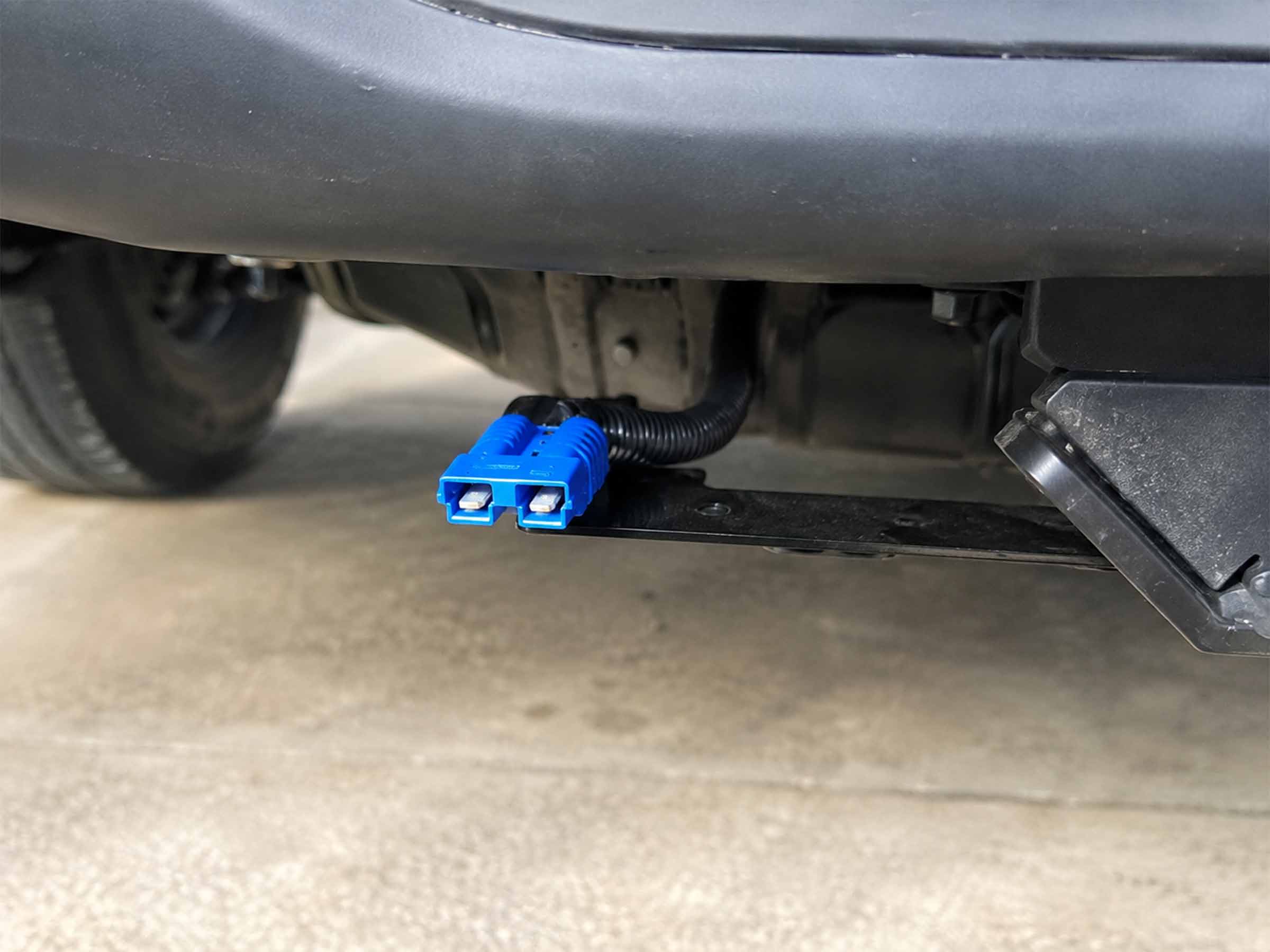 Blue Anderson Plug
